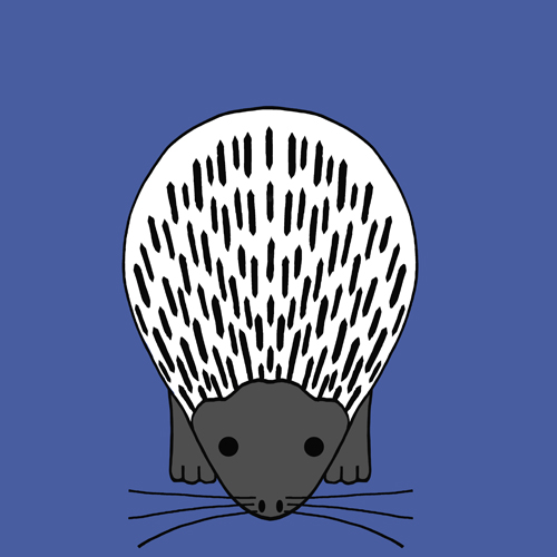 hedgehog in a picture book