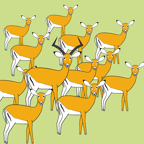 impalas in a picture book